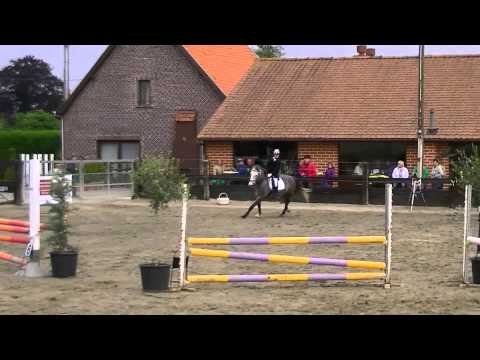 Nobel 12 Hacienda 80 cm