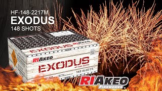 Luxusni_ohnostroj_RIAkeo_exodus