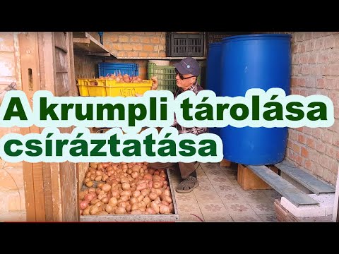 , title : 'Krumpli vetőgumó házilag.'