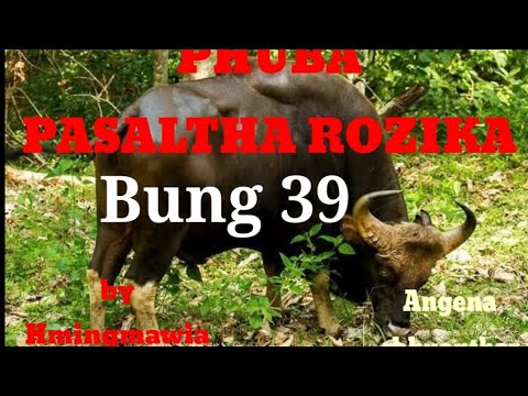 PHUBA PASALTHA ROZIKA 39