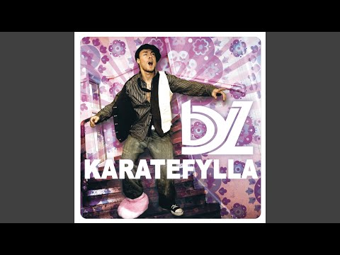 Karatefylla