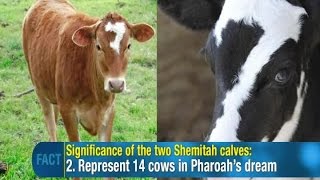 Jonathan Cahn: 2 times 7 Cows appeared in America like in Pharaoh's Egypt