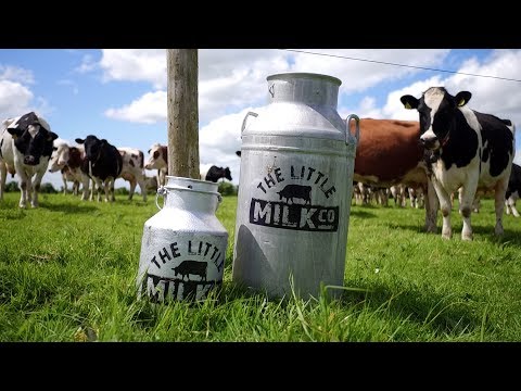 The Little Milk Company