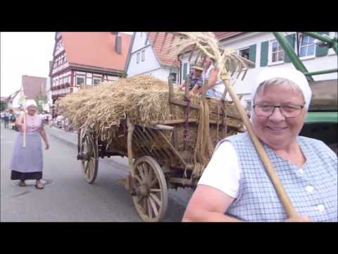 1250 Jahre Bissingen an der Teck Festumzug