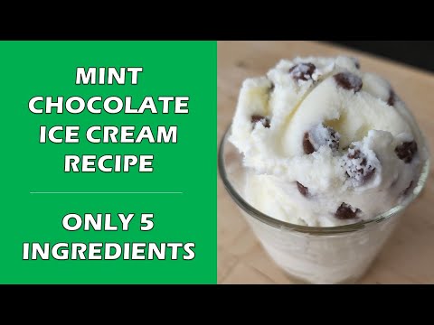 MINT CHOCOLATE CHIP Ice Cream Recipe