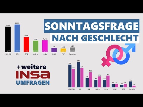 AfD baut Vorsprung aus - Umfragen zu Politik, Wirtschaft, Vertrauen | INSA