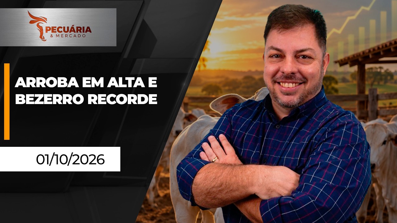 Arroba de R$400 e bezerro de R$4000 são os novos alvos de preços para os próximos meses na pecuária