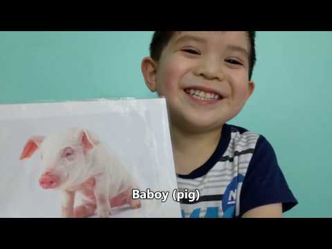 Magandang simulators para sa pagsunog ng tiyan taba Kung paano pinakamahusay na upang mawalan ng timbang sa nakalipas na buwan