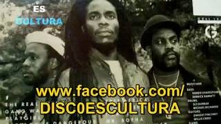 Mighty Diamonds ♦ The Right Feeling (subtitulos español) Vinyl rip