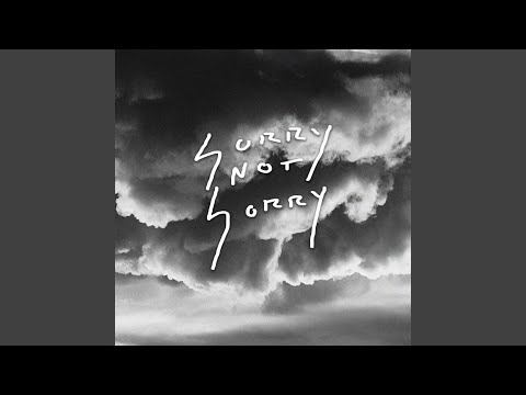 Sorry Not Sorry (Remix)