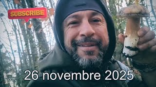 Funghi porcini al 26 novembre 2025