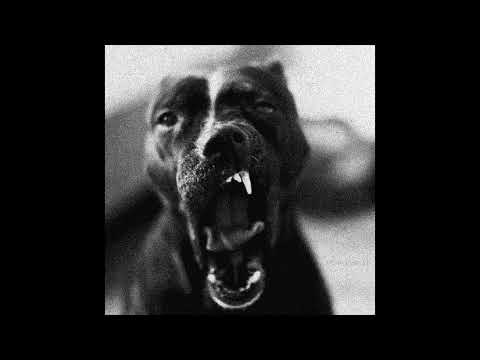 (FREE) Type Beat AAMO X Mairo "FUZE"