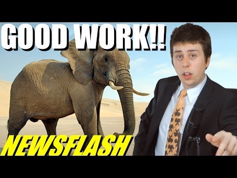 Elephant Saves Baby From House it Destroyed - NEWSFLASH