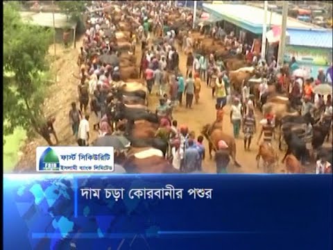 হাটে পশুর কমতি না থাকলেও বাড়তি দামে দিশেহারা ক্রেতারা | ETV News