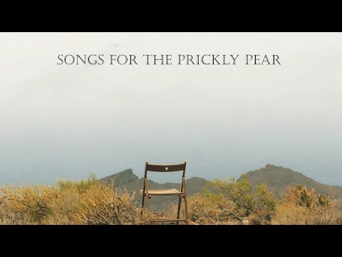 Podporte vydanie LP platne Ota Hudeca Songs for the Prickly Pear