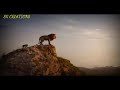 Life Motivational Status In Tamil The Lion King Movie