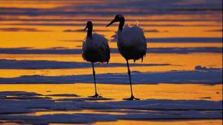 DESPUES DE TI QUE- Cristian &amp; José Feliciano