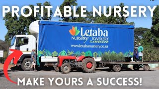 How To Start A Plant Nursery For Profit - Letaba Nursery