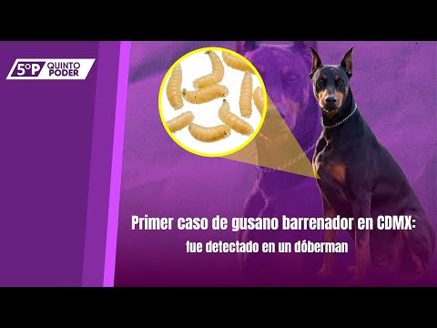 Thumbnail 66581