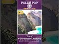 Crazy Screwed Chopped