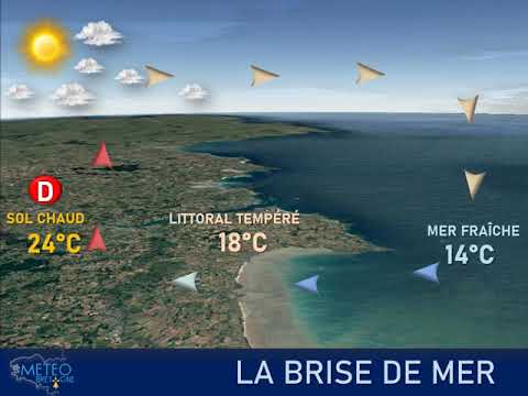 Illustration de l'actualité Les brises de mer modèrent l'élévation de la température sur nos littoraux
