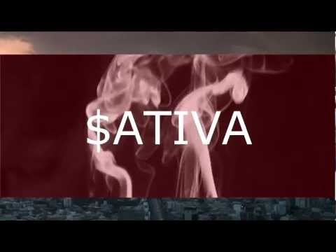 $ATIVA x COLOSSU$ x RYAN - Big Pimpin'