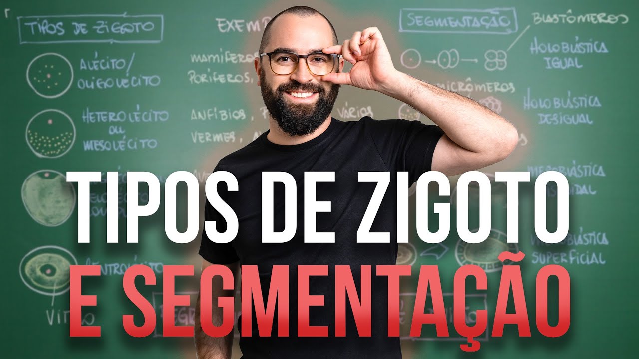 Tipos de Zigoto e Segmentação - Aula 02 - Módulo 6: Embriologia e Zoologia