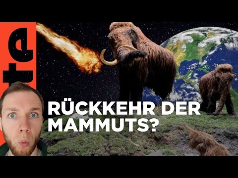 Reaktion: Ein Mammut-Projekt - Wiedergeburt ausgestorbener Arten | Doku HD | ARTE