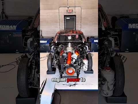 Procharger vs Supercharger Comparison