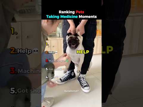 Ranking Pets Taking Medicine Moments