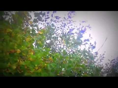 Sarata Monteoru Cazare - Cazat.ro