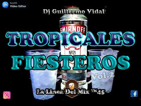 TROPICALES FIESTEROS Vol.2 Dj Guillermo Vidal® La Línea Del Mix ™45 💯