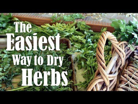 How to Preserve Herbs | 4 Ways of Drying Herbs at Home