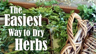 How to Preserve Herbs | 4 Ways of Drying Herbs at Home