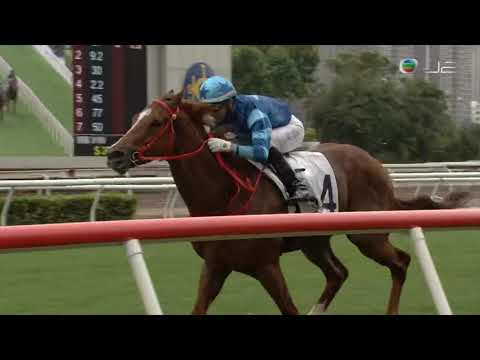 HKJC八仟師 (E330) 2021-11-21 第2班 1000米 騎師莫雷拉 練馬師羅富全 (超級馬)