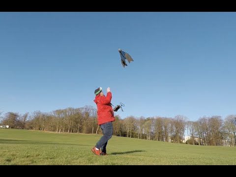 TBS Caipirinha II / iNAV 2.1.0 Maiden - NEVER FLOWN A WING BEFORE!!!