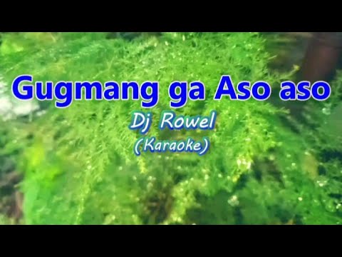 Dj Rowel - Gugmang ga Aso aso (Karaoke)