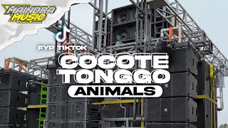 Download lagu DJ COCOTE TONGGO X ANIMALS X TRAP NGUK🔥||BY MAINDRA MUSIC PRODUCTION mp3 Download lagu DJ COCOTE TONGGO X ANIMALS X TRAP NGUK🔥||BY MAINDRA MUSIC PRODUCTION mp3
