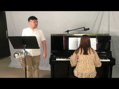 The Green Hill - Bert Appermont