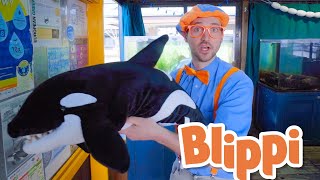 Download lagu Blippi Learns About Sea Creatures! | Learn About Animals For Kids | Educational Videos For Toddlers mp3