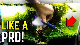 Step By Step Aquascape Maintenance - Trimming, Cleaning & Water Changes!