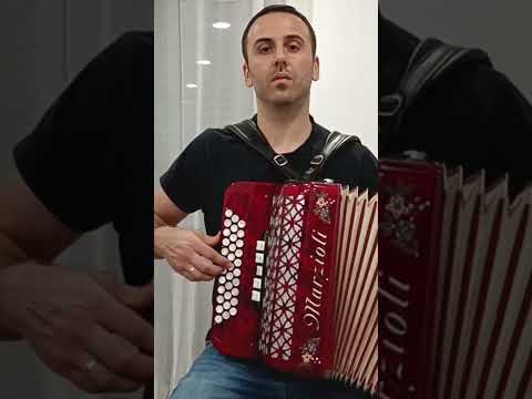 Apita o Comboio na Concertina (Aprende como tocar) #shorts #concertina #sanfona #gaitaponto