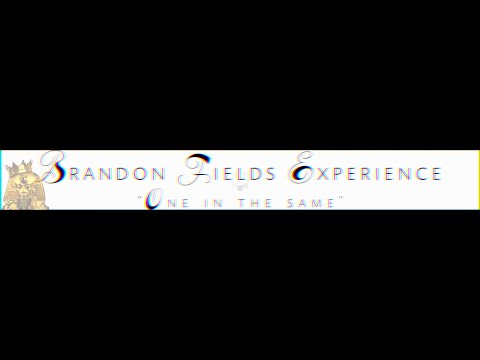 Brandon Fields Experience | 
