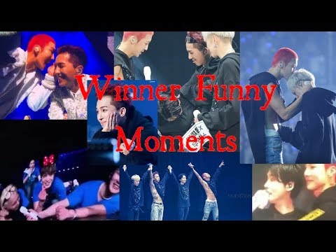 Winner Cross Tour in Seoul Winner Funny Moments Day 2