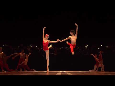 댄싱베토벤_런칭영상 30s