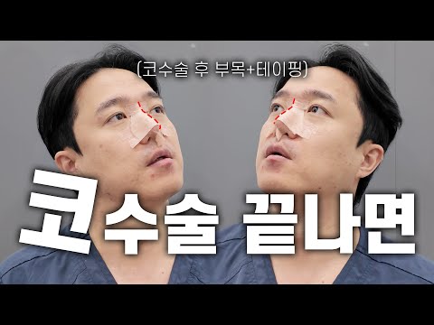 불철주야 이주철