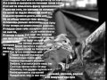 Прасти 