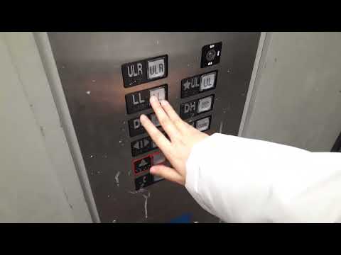 Another Epic Motor Freight Elevator at Square One Shopping Centre Mall Mississauga Ontario