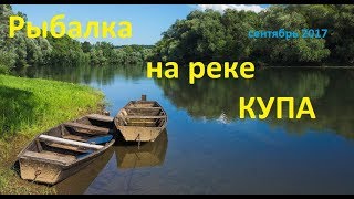 Ссылка