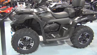 CFMoto CForce 600L Touring ATV (2023) Exterior and Interior